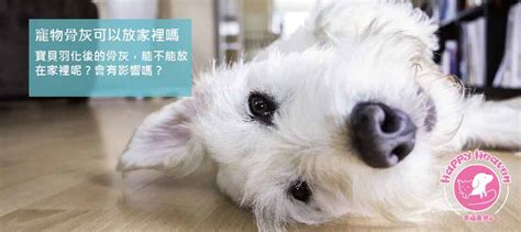 家裡有孕婦可以施工嗎|懷孕家裡施工4大禁忌